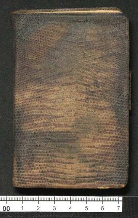 Taschenkalender mit tagebuchähnlichen Aufzeichnungen, 1932