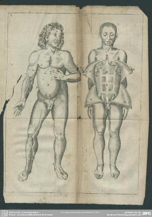 [Tabulae Anatomicae XXIV, cum earundem explicationibus]
