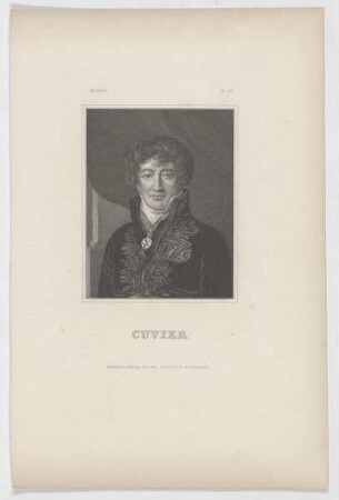 Bildnis des Cuvier