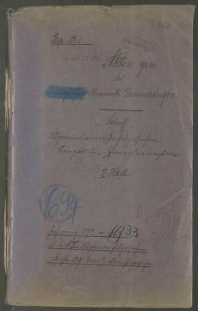 Aufrechterhaltung der öffentlichen Ruhe, Sicherheit und Ordnung, Allgemeines (Ortspolizei)