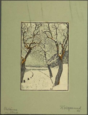 Obstbäume im Schnee