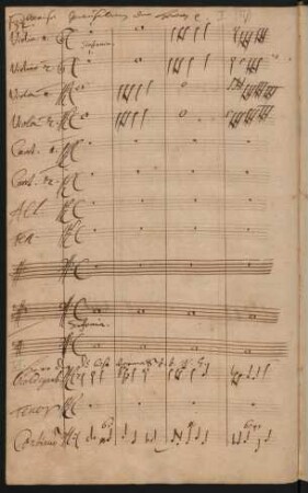 Preise Jerusalem den Herrn; V (5), orch; C-Dur