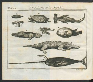 Tafel: Les Poissons et les Amphibies.