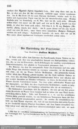 Die Entstehung der Feuersteine.