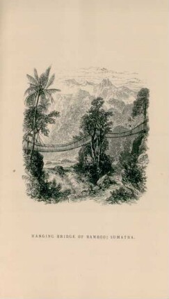 Hanging bridge of bamboo; Sumatra