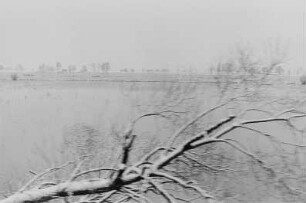 Seelandschaft