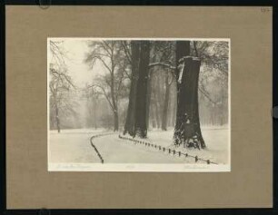 487, Winternebel. (Nr. 3090).