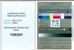 Entnazifizierung Wilhelm Karl Heinz Hammersdorf , geb. 16.02.1918 (Malergeselle)