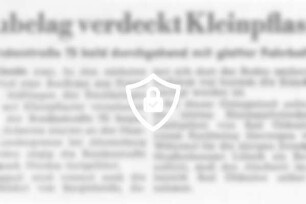 Raubelag verdeckt Kleinpflaster