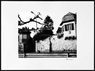 Foto, Erpel