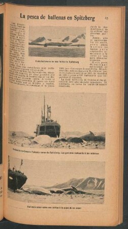 La pesca de ballenas en Spitzberg