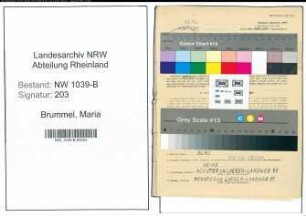 Entnazifizierung Maria Brummel , geb. 22.04.1905 ()