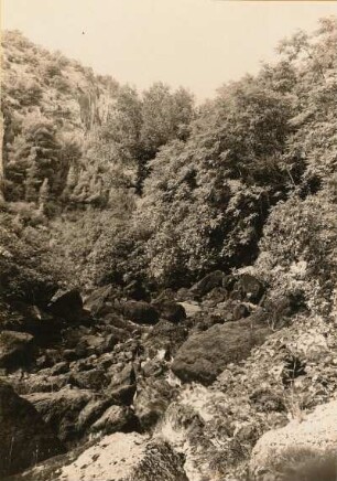 Vaucluse. Tal der Sorgue