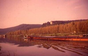 Guttenbach, Stauhaltung