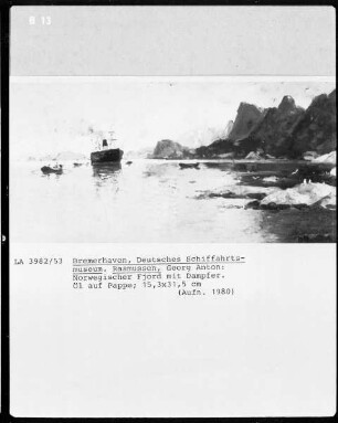 Norwegischer Fjord mit Dampfer