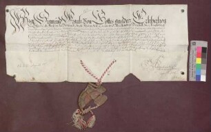 Erzherzog Sigmund von Österreich bestätigt die Freiheiten der Grafschaft Hauenstein.