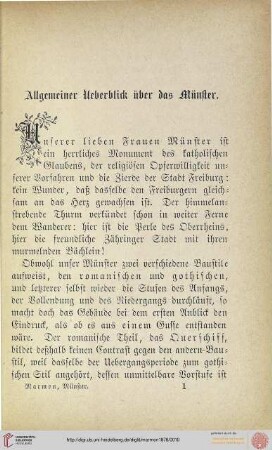 Allgemeiner Überblick über das Münster