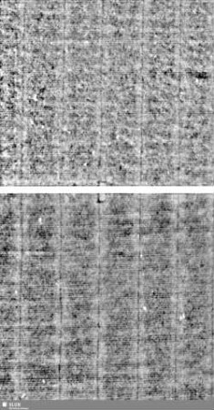 Lilienschild (gekrönt) / KB = S.1/2+17/18