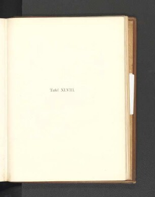 Tafel XLVIII.