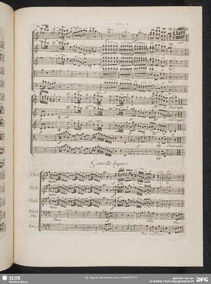Gavotte