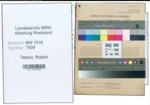Entnazifizierung Robert Testrut , geb. 05.08.1900 (Kaufmann)