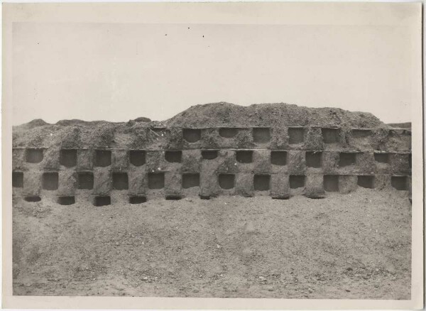 Wall decorations on the huacas of Chanchan