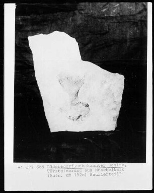 Fossil