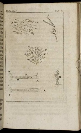 [Fig.XIV. zu] pag. 140.