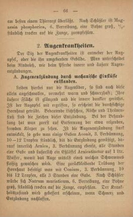2. Augenkrankheiten