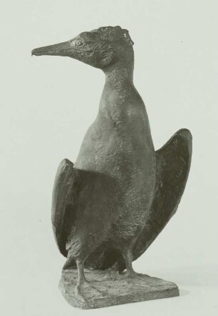 Kormoran