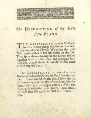 The Description of the Sixty Fifth Plate