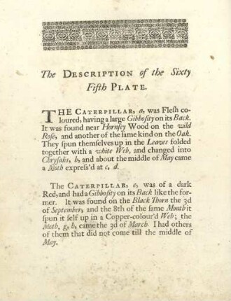 The Description of the Sixty Fifth Plate