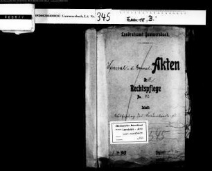 Ausführung des Friedensvertrages
