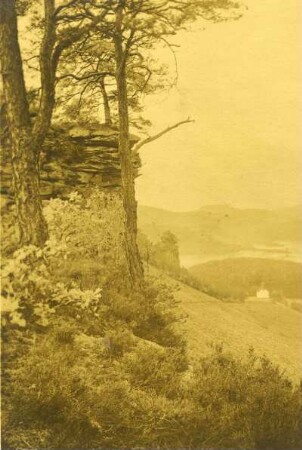 Hochstein bei Dahn. Lasi