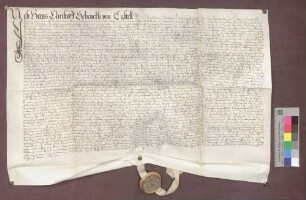 Lehnrevers des Hans Christoph Schenk von Castell gegenüber dem Basler Domkapitel wegen des Dinghofs zu Istein.