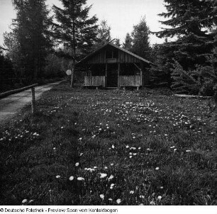 Frühling; Baumblüte Borthen Kauscha