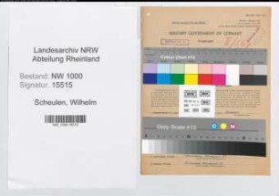 Entnazifizierung Wilhelm Scheulen, geb. 21.02.1898 (Sekretaer)
