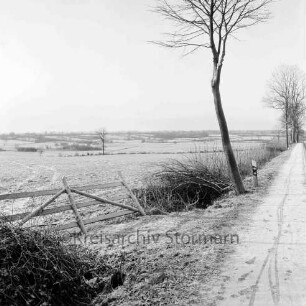 "Schöne Aussicht": Blick in die Knicklandschaft östlich von Neritz: vorn links Gatter: rechts Bäume