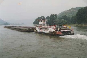 DDGS TULLN