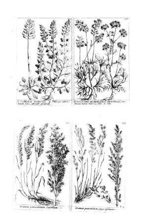1305-1308