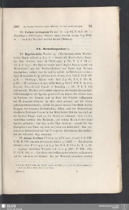 VI. Brachiopoden