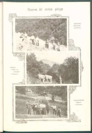 Escenas del campo gallego [Fotografías]