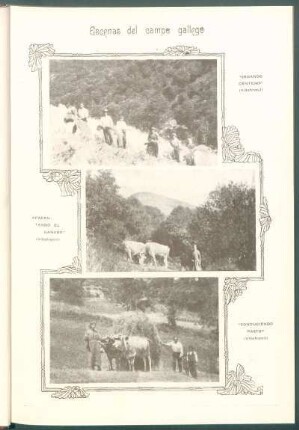 Escenas del campo gallego [Fotografías]