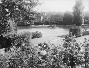 Döbeln, Bürgergarten : Döbeln. Teich am Bürgergarten