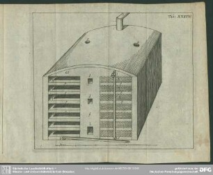 Tab. XXXIV [XXXV].