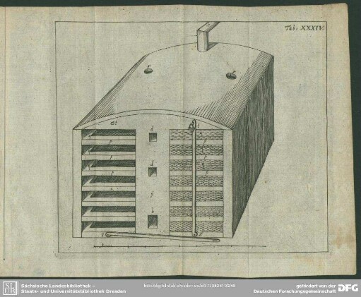 Tab. XXXIV [XXXV].