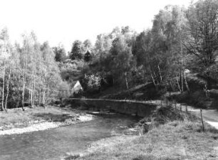 Freiberg. Mulde. Blick flussabwärts. Ansicht mit Uferweg