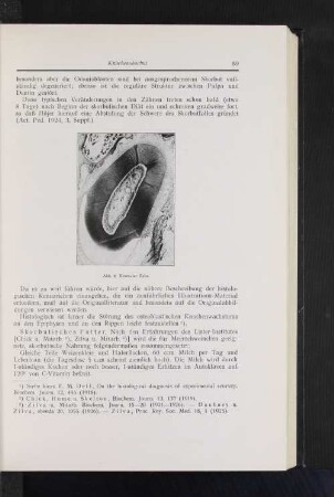Abb. 8 Normaler Zahn
