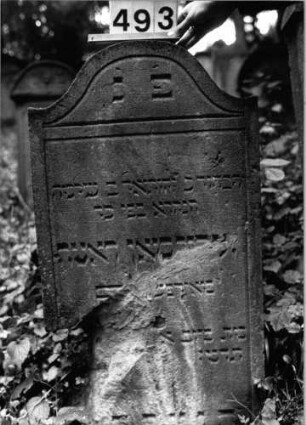 Grabstein 493 (Index: 99803816) Material: Sandstein Zustand: gebroch/Textverlust Maße HxBxT: 109x57x11 cm Beschreibung: Stele mit Karniesbogen, profilierter Rand: Grabstein 493