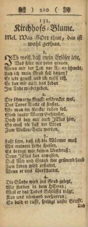 132. Kirchhofs-Blume